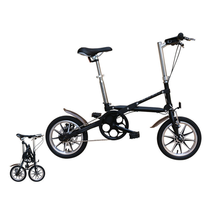 Carbon Bike Frame - دراجة قابلة للطي بعجلات سبائك 14